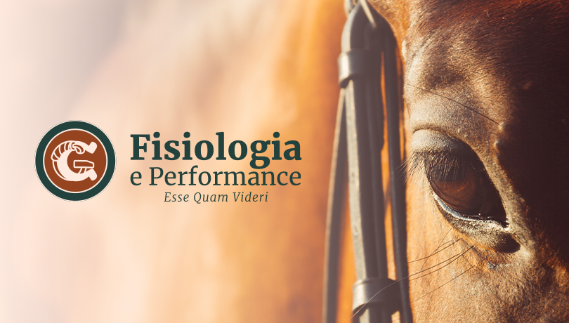 GC – Fisiologia e Performance